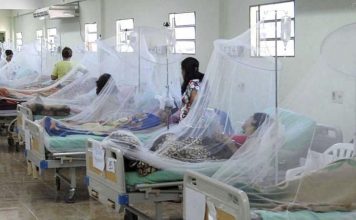 Diresa reporta cerca de 5 mil casos y 8 defunciones por dengue
