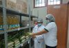 Qali Warma: Supervisan servicio alimentario en Chulucanas