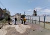 Piura: contaminación por desagüe afecta a ciudadanos de Zona Industrial