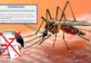 MINSA: Uso de ivermectina no cura el dengue