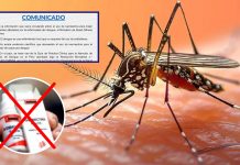 MINSA: Uso de ivermectina no cura el dengue