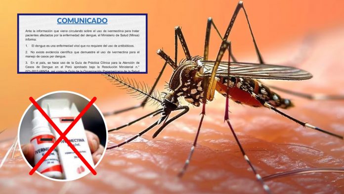 MINSA: Uso de ivermectina no cura el dengue