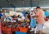 Semana Santa 2024 en Piura: pescado aumenta hasta 5 soles por kilo
