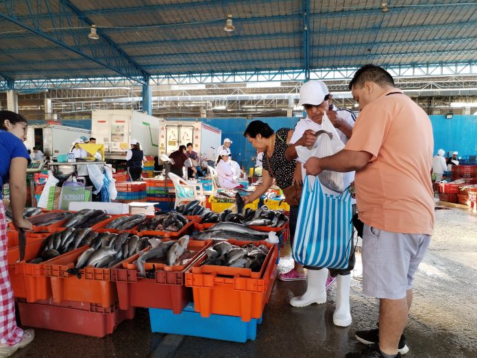 Semana Santa 2024 en Piura: pescado aumenta hasta 5 soles por kilo