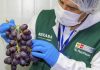 Piura: nueva sede del Senasa beneficiará a más de 400 mil productores y consumidores