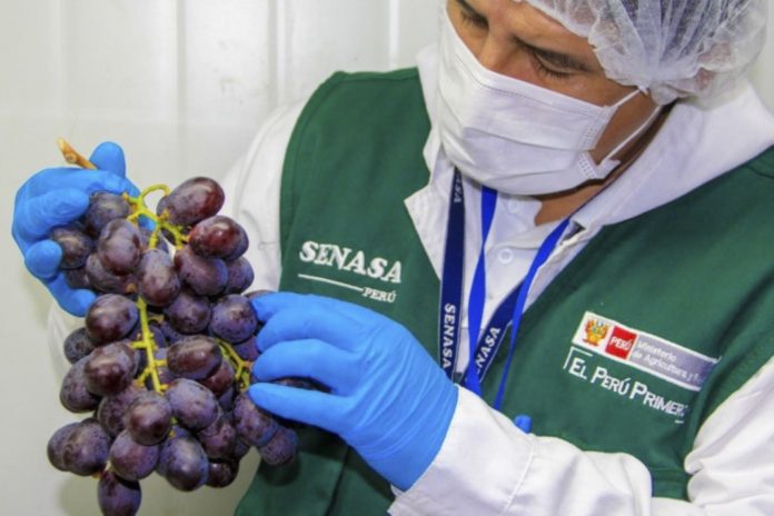 Piura: nueva sede del Senasa beneficiará a más de 400 mil productores y consumidores