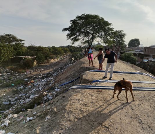 Río Piura: vertimiento de aguas servidas sobre la margen izquierda ponen en riesgo el dique de la zona de Castilla