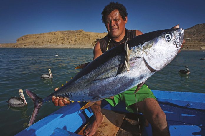 ¡Es oficial! Gobierno establece la creación de la Reserva Nacional Mar Tropical de Grau