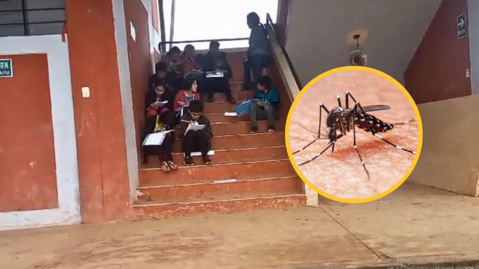 Ayabaca: plaga de zancudos invade la I.E. 141399 y pone en riesgo a más de 400 estudiantes