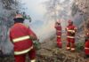 Piura: Bomberos necesitan 538 uniformes, cada uno valorado en más de S/ 14 mil