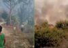 Chulucanas lanza campaña de solidaridad para damnificados por incendios forestales