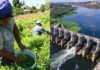 Productos de exportación en riesgo de perderse