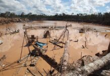 Minería ilegal