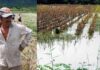 Agricultores rechazan indemnización