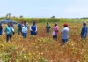 Dirección de Agricultura de Piura continúa acéfala pese a crisis agraria