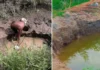 Caseríos de Sullana consumen agua no apta para consumo humano ante déficit hídrico