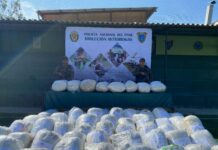 Policía decomisa más de 1 tonelada de marihuana que iba a ser comercializada en Piura