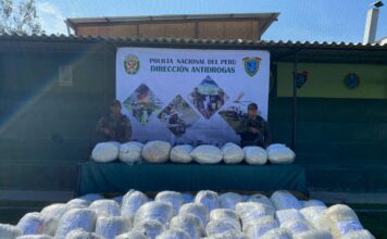 Policía decomisa más de 1 tonelada de marihuana que iba a ser comercializada en Piura