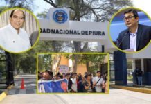 Vínculos en la UNP