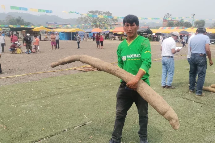 Fiscalía investiga asesinato de defensor ambiental como posible represalia