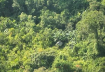 Retroceso en protección de los PIACI: Gobierno niega categorización de Reserva Yavarí Mirim en Loreto pese a evidencias