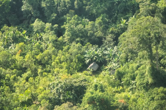 Retroceso en protección de los PIACI: Gobierno niega categorización de Reserva Yavarí Mirim en Loreto pese a evidencias