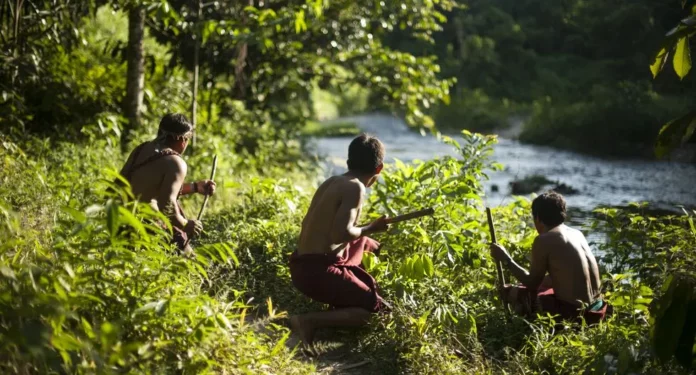 Defender la Amazonía cuesta la vida: 146 asesinatos y desapariciones de defensores ambientales en 2024