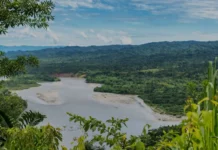 Deforestación en Brasil pone en riesgo el ciclo del agua y la estabilidad de los ecosistemas en Perú y Bolivia