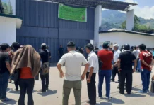 Agricultores de Naranjillo tomaron planta de cacao y café en Tingo María para «recuperar sus bienes»