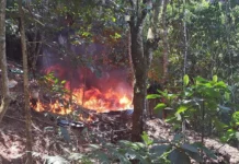 Destruyen laboratorio de droga en Monzón: Incautan PBC e insumos químicos