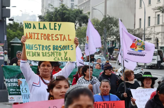 Rechazan proyecto de ley que permitiría titular tierras deforestadas en la Amazonía sin estudios ambientales