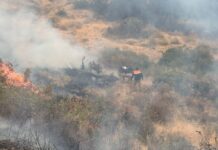 Arequipa: Incendio forestal en La Unión continua activo y afecta a Cotahuasi