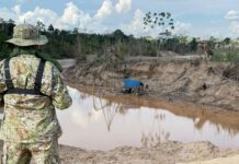 Madre De Dios: Fuerzas del orden golpean a la minería ilegal en zona de amortiguamiento de la Reserva Nacional Tambopata