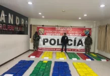Incautan más de 300 kilos de marihuana en operativo antidrogas en Ayacucho