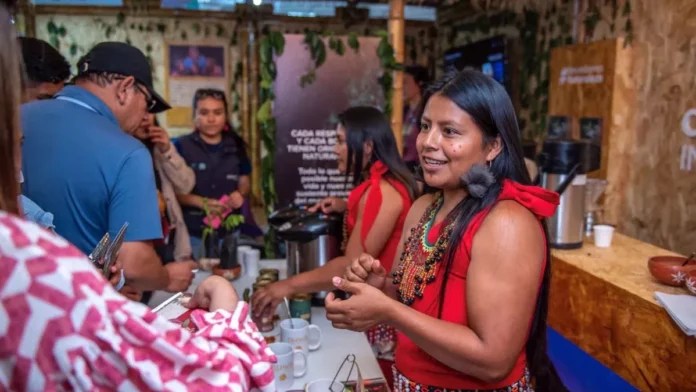Amazonía peruana: el modelo sostenible que une negocios, bosques y pueblos indígenas