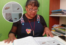 Juliaca: exigen investigación fiscal tras hallar insecto en conserva de Wasi Mikuna