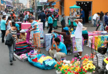 Informalidad laboral en el Perú