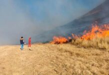 Puno: Incendio forestal arrasa sectores de Tiquillaca