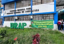 Trabajadores del Sindicato de Agricultura protestan contra resolución que los rebajaría de categoría
