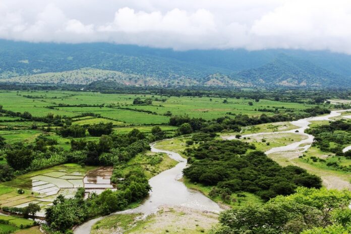 alto_piura_valle_viejo