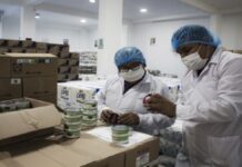 Arequipa: colegios con riesgo por falta de fumigación y control de alimentos de Wasi Mikuna