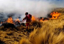 Puno refuerza alerta por riesgo de incendios forestales este 10 de diciembre