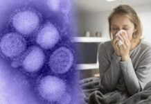 ¿Sabes qué es la gripe H3N2? Conoces aquí cómo se presentan los síntomas Gripe H3N2