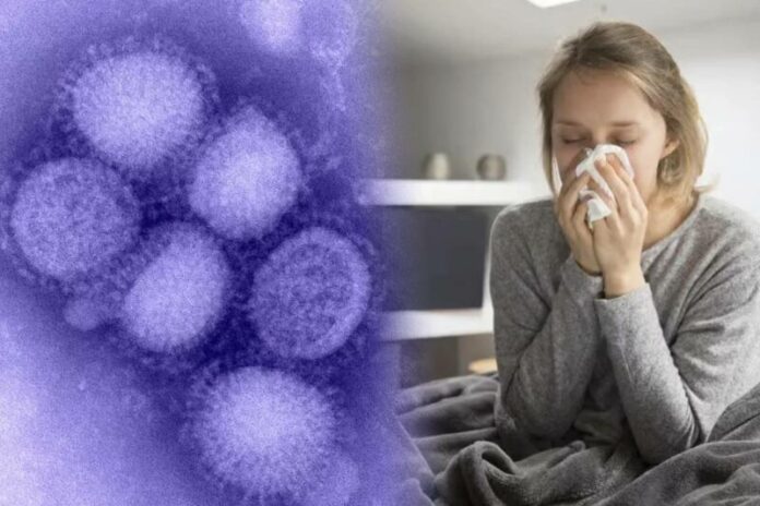Gripe H3N2 Gripe H3N2