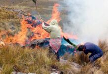 Ayacucho registra 200 hectáreas afectadas por incendios y evalúa emergencia por sequía