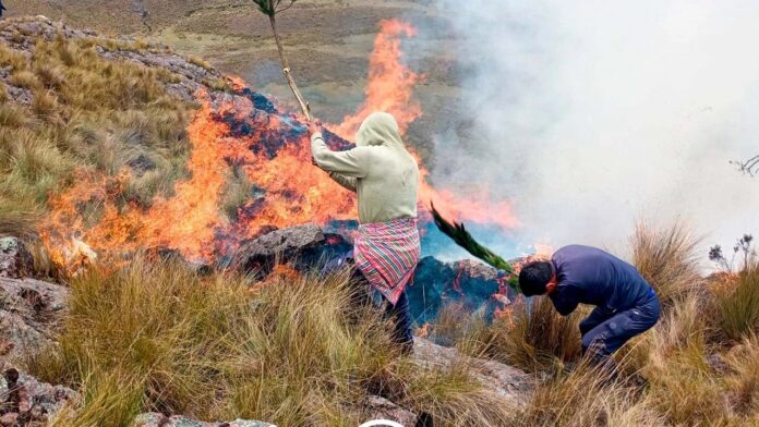 Ayacucho registra 200 hectáreas afectadas por incendios y evalúa emergencia por sequía