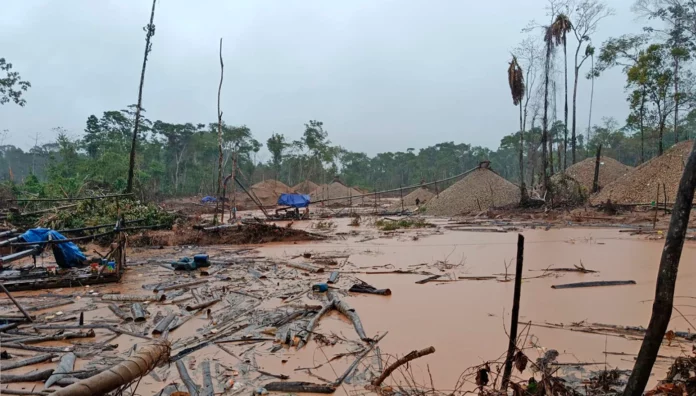 2025: Delitos ambientales como minería ilegal y tráfico de animales dejaron 812 sentencias