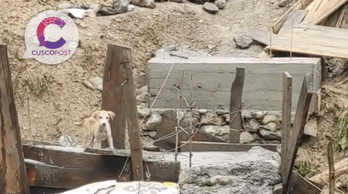 Derrumbes, pérdidas agrícolas y deterioro vial en la selva de Cusco: Agricultores denuncian abandono estatal