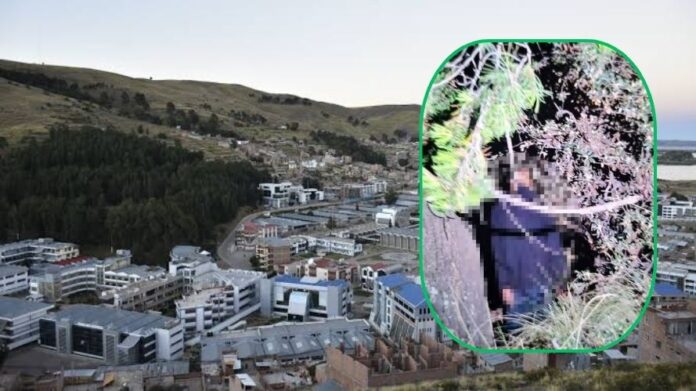 Puno: hallan el cuerpo sin vida de un joven en el bosque de la ciudad universitaria de la UNA