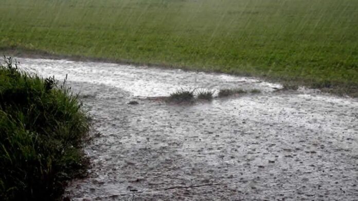 Lluvias moderadas en selva puneña activan alerta para Carabaya y Sandia